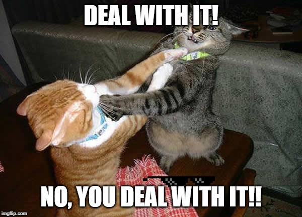 Two cats fighting for real | DEAL WITH IT! NO, YOU DEAL WITH IT!! | image tagged in two cats fighting for real | made w/ Imgflip meme maker