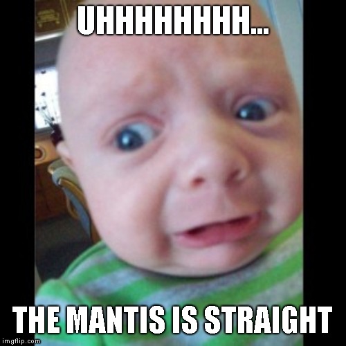 Uhhhhhhhhh... | UHHHHHHHH... THE MANTIS IS STRAIGHT | image tagged in uhhhhhhhhh | made w/ Imgflip meme maker