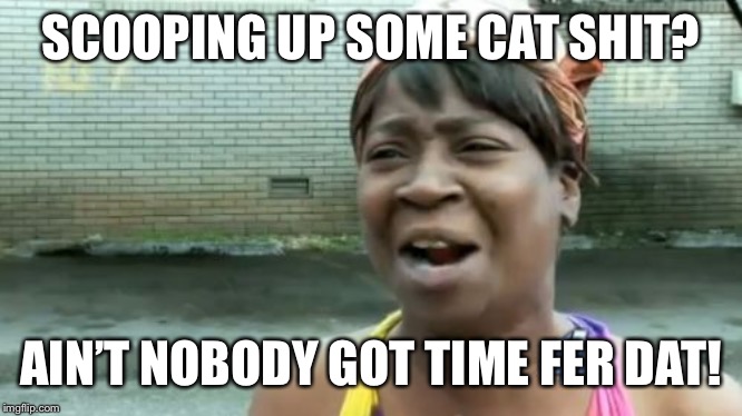 Cat shit aint got time fer dat | SCOOPING UP SOME CAT SHIT? AIN’T NOBODY GOT TIME FER DAT! | image tagged in memes,aint nobody got time for that,cat,shit | made w/ Imgflip meme maker