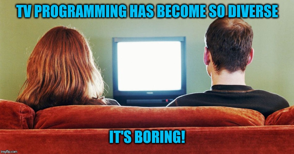 I can't find anything worth watching! | TV PROGRAMMING HAS BECOME SO DIVERSE; IT'S BORING! | image tagged in tv sucks | made w/ Imgflip meme maker