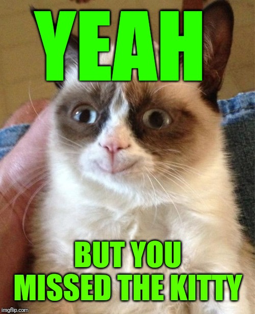 Grumpy Cat Happy Meme | YEAH BUT YOU MISSED THE KITTY | image tagged in memes,grumpy cat happy,grumpy cat | made w/ Imgflip meme maker