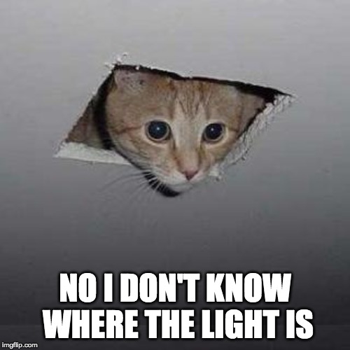 Ceiling Cat Meme | NO I DON'T KNOW WHERE THE LIGHT IS | image tagged in memes,ceiling cat | made w/ Imgflip meme maker