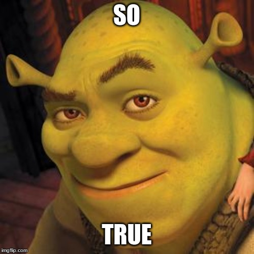 Shrek Sexy Face | SO TRUE | image tagged in shrek sexy face | made w/ Imgflip meme maker