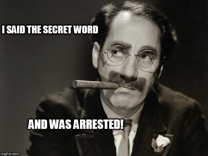 Thoughtful Groucho | I SAID THE SECRET WORD; AND WAS ARRESTED! | image tagged in thoughtful groucho | made w/ Imgflip meme maker