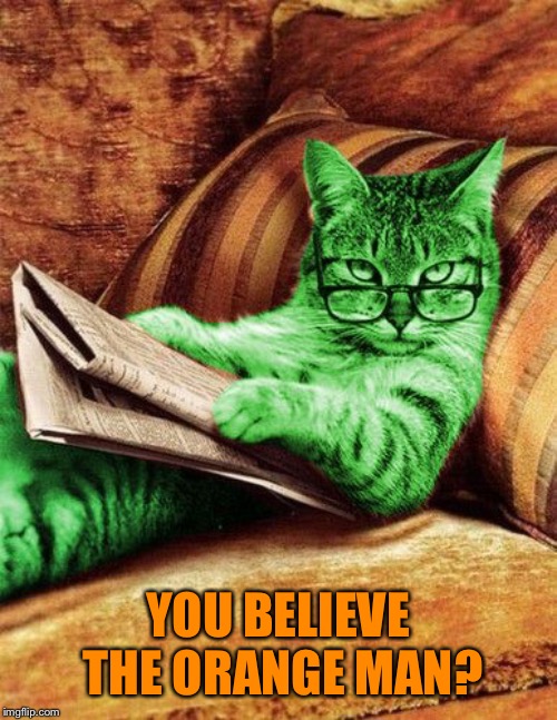 Factual RayCat | YOU BELIEVE THE ORANGE MAN? | image tagged in factual raycat | made w/ Imgflip meme maker