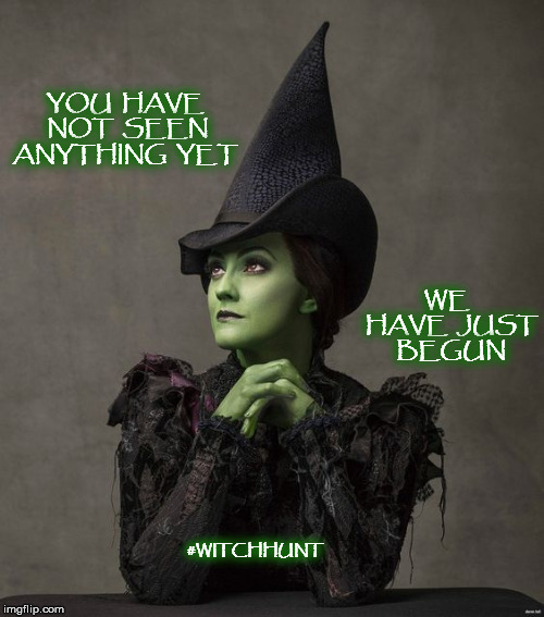 Witch Hunt | YOU  HAVE  NOT  SEEN  ANYTHING  YET; WE  HAVE  JUST  BEGUN; #WITCHHUNT | image tagged in mega,donald trump,witch hunt,election 2020 | made w/ Imgflip meme maker