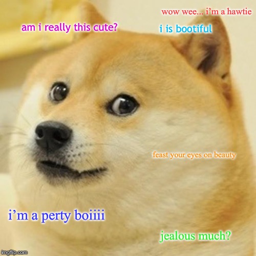 Doge Meme | wow wee... i’m a hawtie; i is bootiful; am i really this cute? feast your eyes on beauty; i’m a perty boiiii; jealous much? | image tagged in memes,doge | made w/ Imgflip meme maker