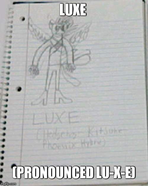 Luxe, the Hedgesunix. (Hedgehog-Kitsune-Phoenix) | LUXE; (PRONOUNCED LU-X-E) | image tagged in original character,sonic the hedgehog,luxe | made w/ Imgflip meme maker