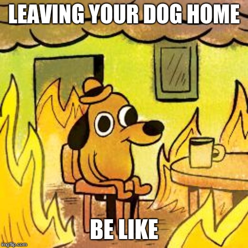 Dog in burning house | LEAVING YOUR DOG HOME; BE LIKE | image tagged in dog in burning house | made w/ Imgflip meme maker