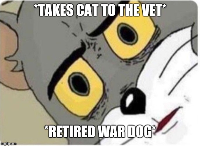 Tom and Jerry meme | *TAKES CAT TO THE VET*; *RETIRED WAR DOG* | image tagged in tom and jerry meme | made w/ Imgflip meme maker