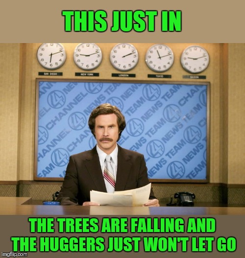 One of my first ever memes | THIS JUST IN; THE TREES ARE FALLING AND THE HUGGERS JUST WON'T LET GO | image tagged in this just in,44colt,funny,tree hugger,memes | made w/ Imgflip meme maker