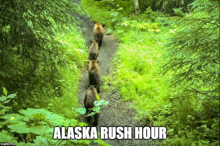ALASKA RUSH HOUR | image tagged in alaska rush hour,memes | made w/ Imgflip meme maker