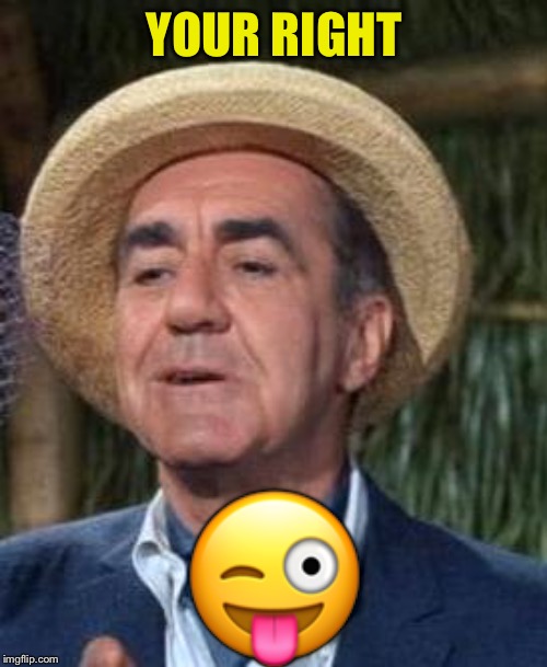 Thurston Howell the 3rd | YOUR RIGHT ? | image tagged in thurston howell the 3rd | made w/ Imgflip meme maker