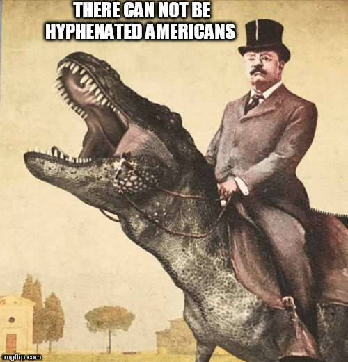 THERE CAN NOT BE HYPHENATED AMERICANS | image tagged in teddy | made w/ Imgflip meme maker