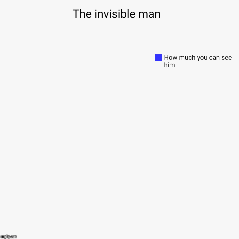 The invisible man  | How much you can see him | image tagged in charts,pie charts | made w/ Imgflip chart maker