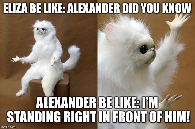 Persian Cat Room Guardian |  ELIZA BE LIKE: ALEXANDER DID YOU KNOW; ALEXANDER BE LIKE: I’M STANDING RIGHT IN FRONT OF HIM! | image tagged in memes,persian cat room guardian | made w/ Imgflip meme maker