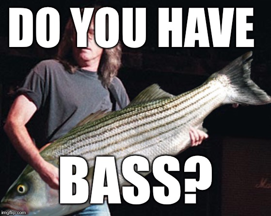 Bass guitar pun | DO YOU HAVE BASS? | image tagged in bass guitar pun | made w/ Imgflip meme maker