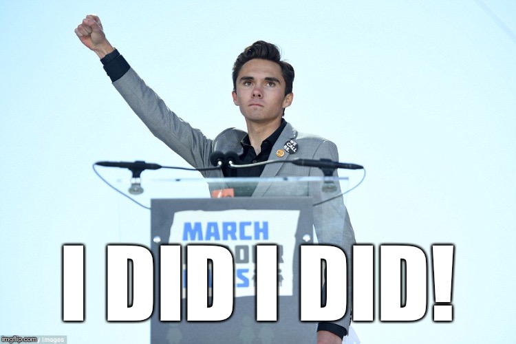 Heil David Hogg | I DID I DID! | image tagged in heil david hogg | made w/ Imgflip meme maker