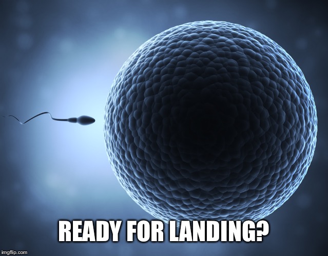 Sperm and Egg | READY FOR LANDING? | image tagged in sperm and egg | made w/ Imgflip meme maker