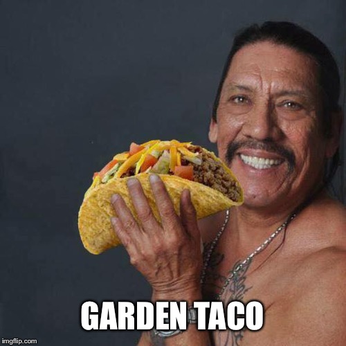 Taco Tuesday | GARDEN TACO | image tagged in taco tuesday | made w/ Imgflip meme maker