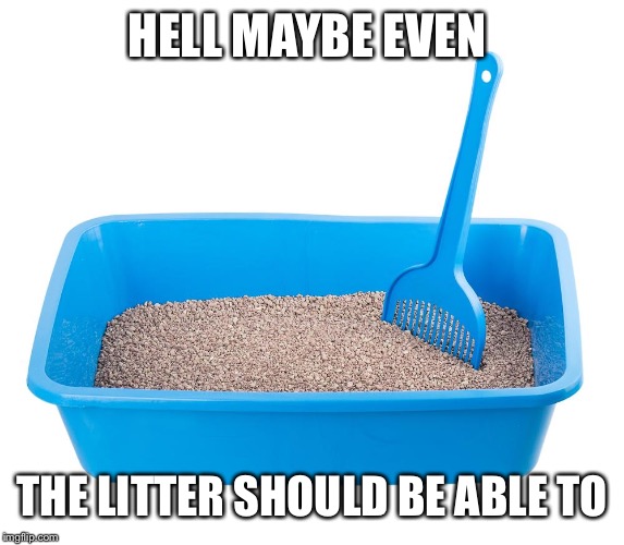 Cat litter | HELL MAYBE EVEN THE LITTER SHOULD BE ABLE TO | image tagged in cat litter | made w/ Imgflip meme maker