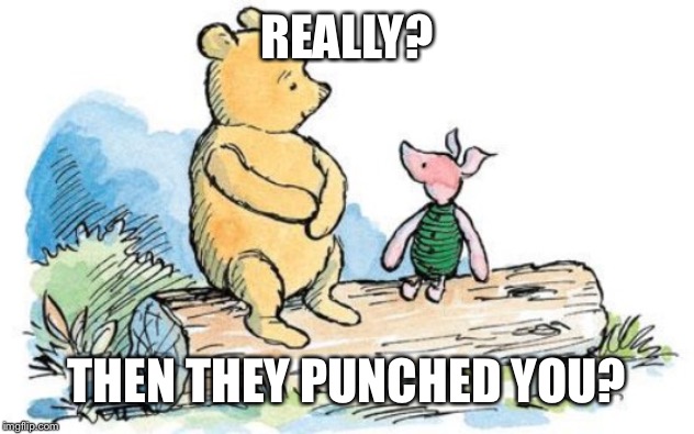 winnie the pooh and piglet | REALLY? THEN THEY PUNCHED YOU? | image tagged in winnie the pooh and piglet | made w/ Imgflip meme maker