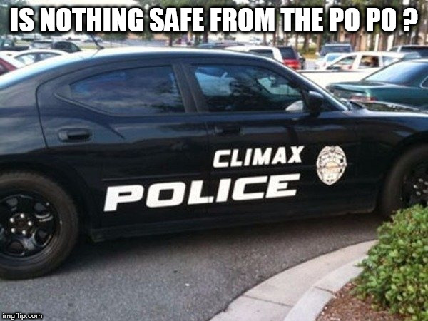 IS NOTHING SAFE FROM THE PO PO ? | image tagged in cops | made w/ Imgflip meme maker