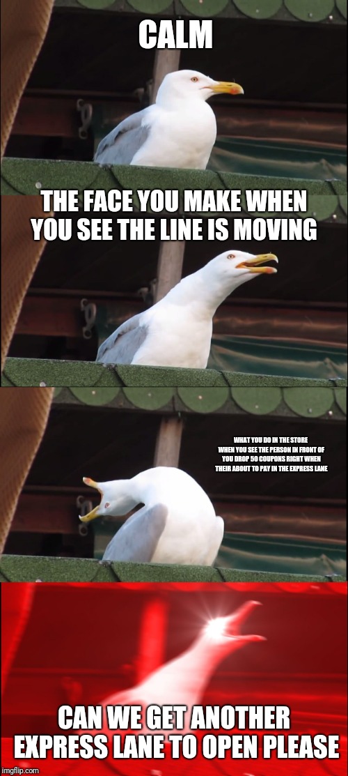 Inhaling Seagull Meme | CALM; THE FACE YOU MAKE WHEN YOU SEE THE LINE IS MOVING; WHAT YOU DO IN THE STORE WHEN YOU SEE THE PERSON IN FRONT OF YOU DROP 50 COUPONS RIGHT WHEN THEIR ABOUT TO PAY IN THE EXPRESS LANE; CAN WE GET ANOTHER EXPRESS LANE TO OPEN PLEASE | image tagged in memes,inhaling seagull | made w/ Imgflip meme maker