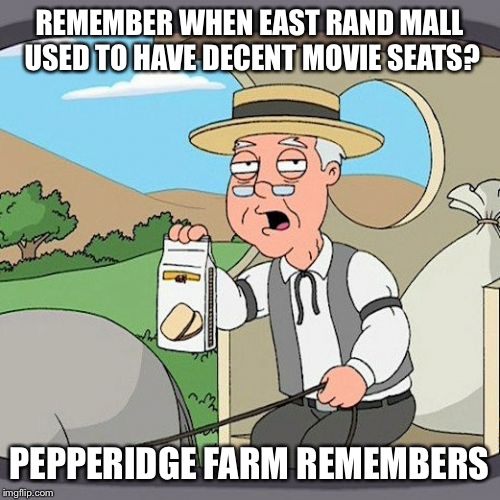 Pepperidge Farm Remembers | REMEMBER WHEN EAST RAND MALL USED TO HAVE DECENT MOVIE SEATS? PEPPERIDGE FARM REMEMBERS | image tagged in memes,pepperidge farm remembers | made w/ Imgflip meme maker