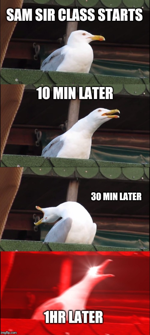 Inhaling Seagull Meme | SAM SIR CLASS STARTS; 10 MIN LATER; 30 MIN LATER; 1HR LATER | image tagged in memes,inhaling seagull | made w/ Imgflip meme maker