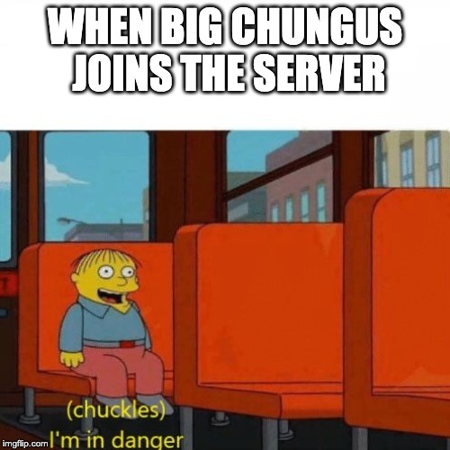 Chuckles, I’m in danger | WHEN BIG CHUNGUS JOINS THE SERVER | image tagged in chuckles im in danger | made w/ Imgflip meme maker