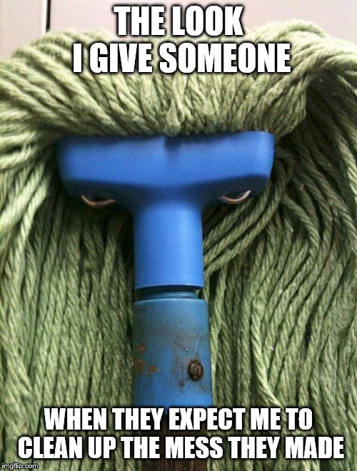 The look I give someone | THE LOOK I GIVE SOMEONE; WHEN THEY EXPECT ME TO CLEAN UP THE MESS THEY MADE | image tagged in mophead,dirty look,strange face | made w/ Imgflip meme maker
