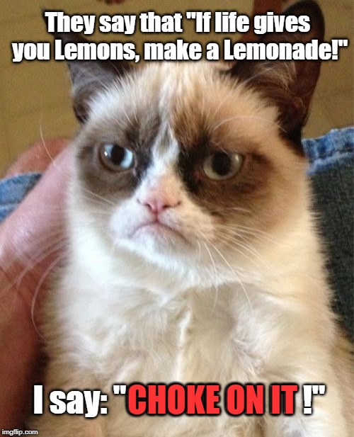 Grumpy Cat Meme | They say that "If life gives you Lemons, make a Lemonade!"; I say: "CHOKE ON IT !"; CHOKE ON IT | image tagged in memes,grumpy cat,lemons,grumpy,cat,lemonade | made w/ Imgflip meme maker