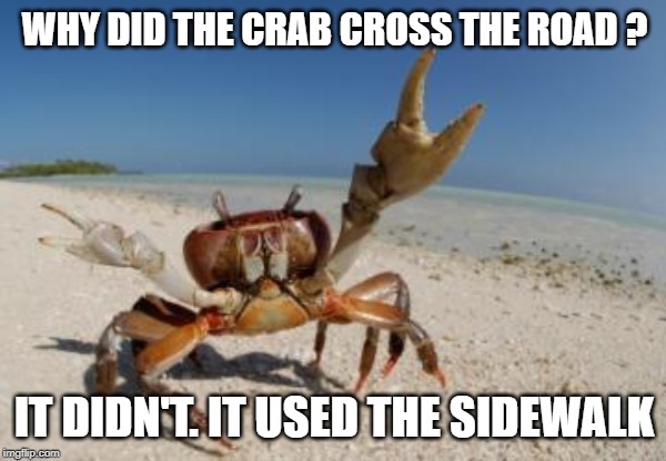 crab | WHY DID THE CRAB CROSS THE ROAD ? IT DIDN'T. IT USED THE SIDEWALK | image tagged in crab | made w/ Imgflip meme maker
