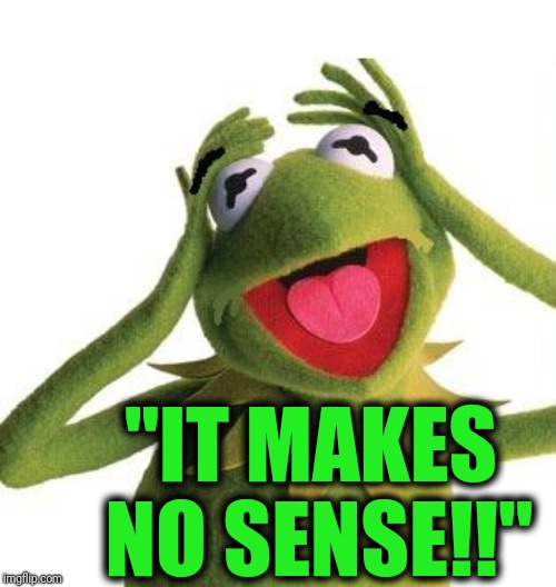 "IT MAKES NO SENSE!!" | image tagged in scared kermit | made w/ Imgflip meme maker
