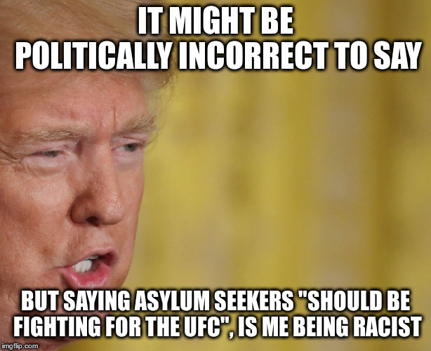 I just calls 'em as I sees 'em | IT MIGHT BE POLITICALLY INCORRECT TO SAY; BUT SAYING ASYLUM SEEKERS "SHOULD BE FIGHTING FOR THE UFC", IS ME BEING RACIST | image tagged in trump,humor,racist,racism,ufc,asylum | made w/ Imgflip meme maker