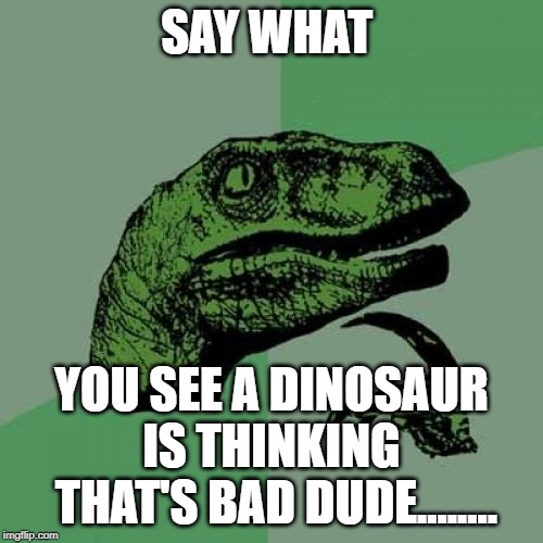Philosoraptor | SAY WHAT; YOU SEE A DINOSAUR IS THINKING
 THAT'S BAD DUDE........ | image tagged in memes,philosoraptor | made w/ Imgflip meme maker