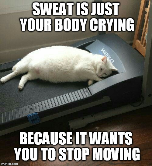 SWEAT IS JUST YOUR BODY CRYING; BECAUSE IT WANTS YOU TO STOP MOVING | image tagged in sweat,move,crying | made w/ Imgflip meme maker