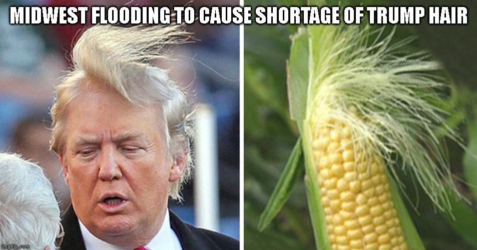 Trump Ends Trade War - Will Buy Fake Hair From China | MIDWEST FLOODING TO CAUSE SHORTAGE OF TRUMP HAIR | image tagged in donald trump worst trade deal,donald trump is an idiot,trade war,donald trump hair | made w/ Imgflip meme maker