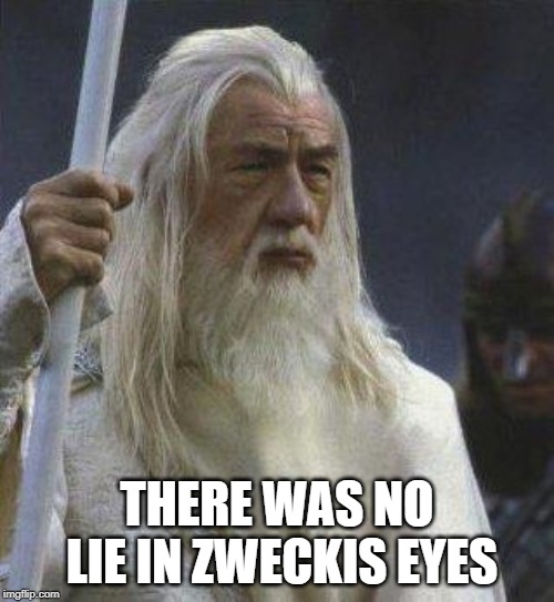 gandalf | THERE WAS NO LIE IN ZWECKIS EYES | image tagged in gandalf | made w/ Imgflip meme maker