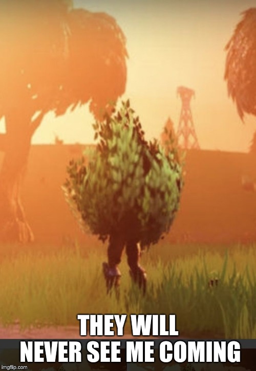 Fortnite bush | THEY WILL NEVER SEE ME COMING | image tagged in fortnite bush | made w/ Imgflip meme maker
