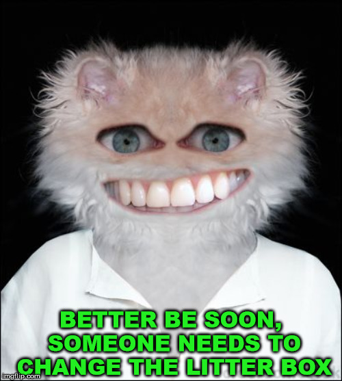 Cat man | BETTER BE SOON, SOMEONE NEEDS TO CHANGE THE LITTER BOX | image tagged in cat man | made w/ Imgflip meme maker