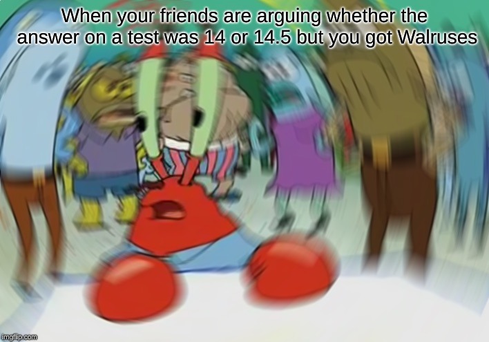 Mr Krabs Blur Meme Meme | When your friends are arguing whether the answer on a test was 14 or 14.5 but you got Walruses | image tagged in memes,mr krabs blur meme | made w/ Imgflip meme maker
