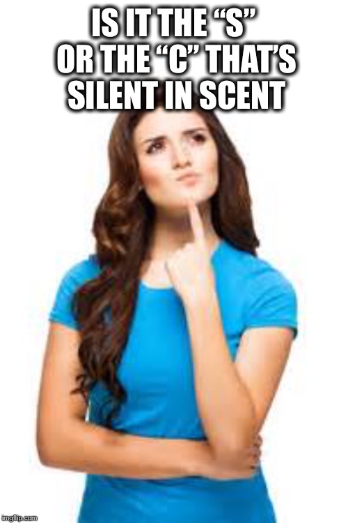 The English language... |  IS IT THE “S” OR THE “C” THAT’S SILENT IN SCENT | image tagged in english,perplexing | made w/ Imgflip meme maker