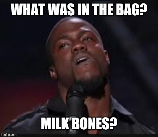 Kevin Hart | WHAT WAS IN THE BAG? MILK BONES? | image tagged in kevin hart | made w/ Imgflip meme maker