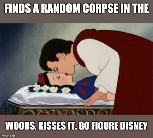 FINDS A RANDOM CORPSE IN THE; WOODS, KISSES IT. GO FIGURE DISNEY | image tagged in disney | made w/ Imgflip meme maker