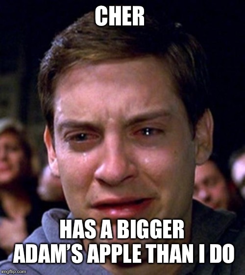 crying peter parker | CHER; HAS A BIGGER ADAM’S APPLE THAN I DO | image tagged in crying peter parker,memes,funny,true story bro,cher,first world problems | made w/ Imgflip meme maker