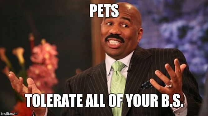 A Pet...your best companion | PETS; TOLERATE ALL OF YOUR B.S. | image tagged in memes,steve harvey,pets,animals | made w/ Imgflip meme maker