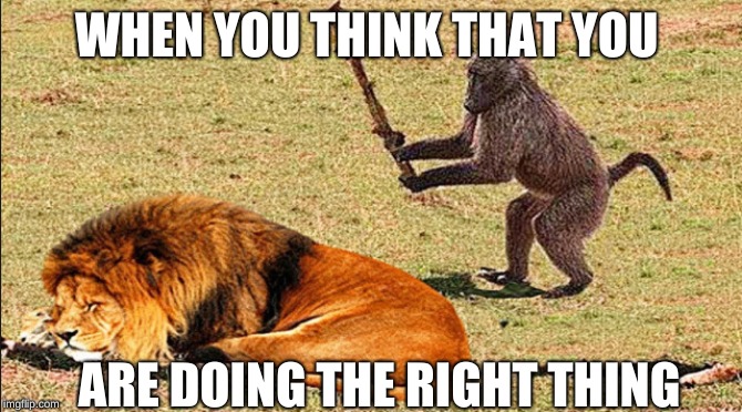 WHEN YOU THINK THAT YOU; ARE DOING THE RIGHT THING | image tagged in funny memes | made w/ Imgflip meme maker
