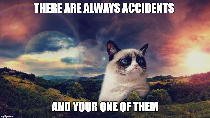 motivational grumpy cat | THERE ARE ALWAYS ACCIDENTS; AND YOUR ONE OF THEM | image tagged in motivational grumpy cat | made w/ Imgflip meme maker